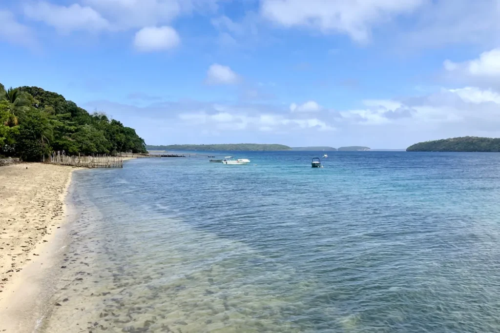 Vava'u's warm, clear water is the ideal place for humpback whales