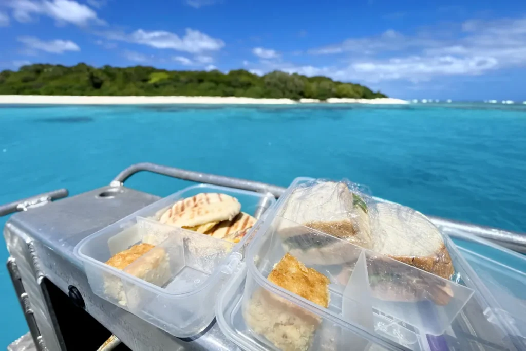 Sandwich and panini lunch during whale swim in Tonga