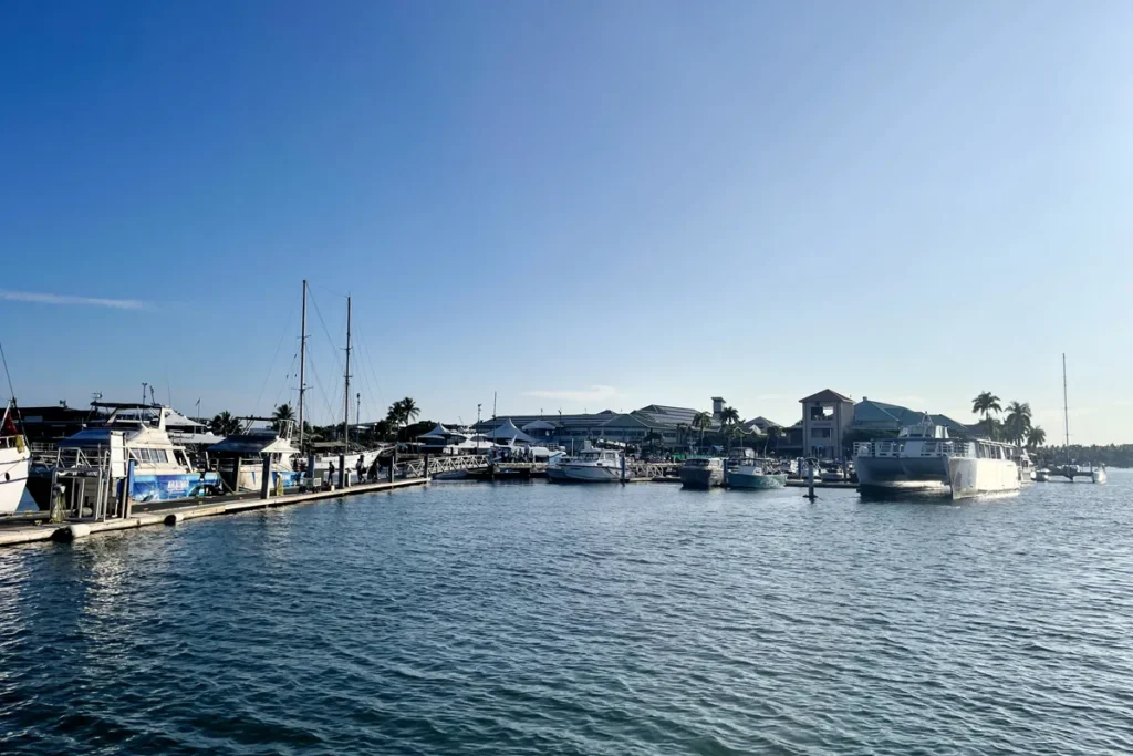 View of Port Denarau from the boat.