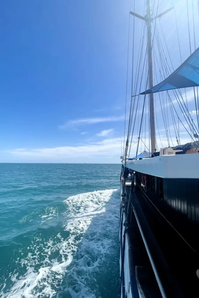 Side view of Whales Tale Cruise ship.